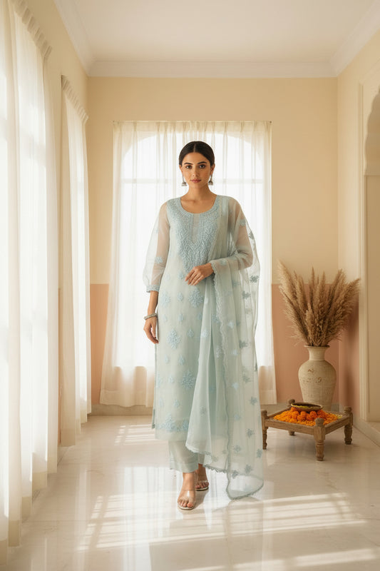 Blue Chikankari Suit Set | Organza Fabric