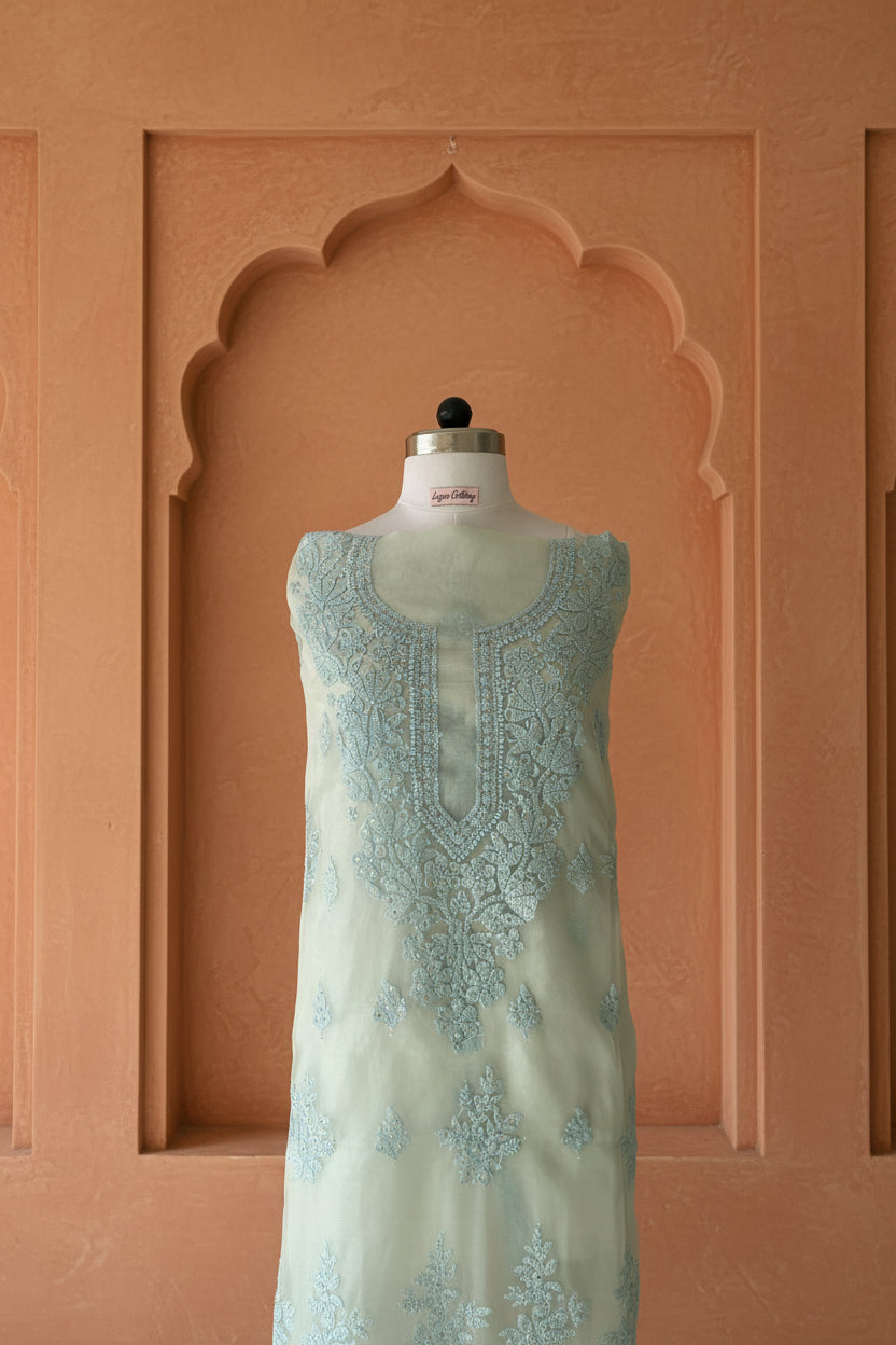 Blue Chikankari Suit Set | Organza Fabric