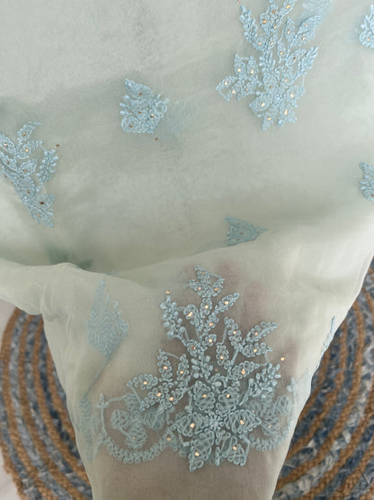 Blue Chikankari Suit Set | Organza Fabric