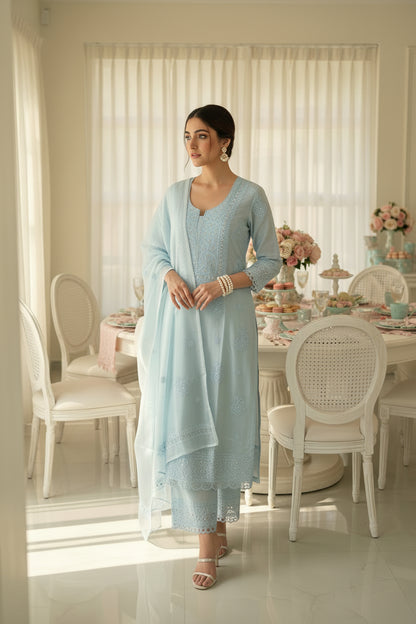Light blue embroidered chikanakri suit set  